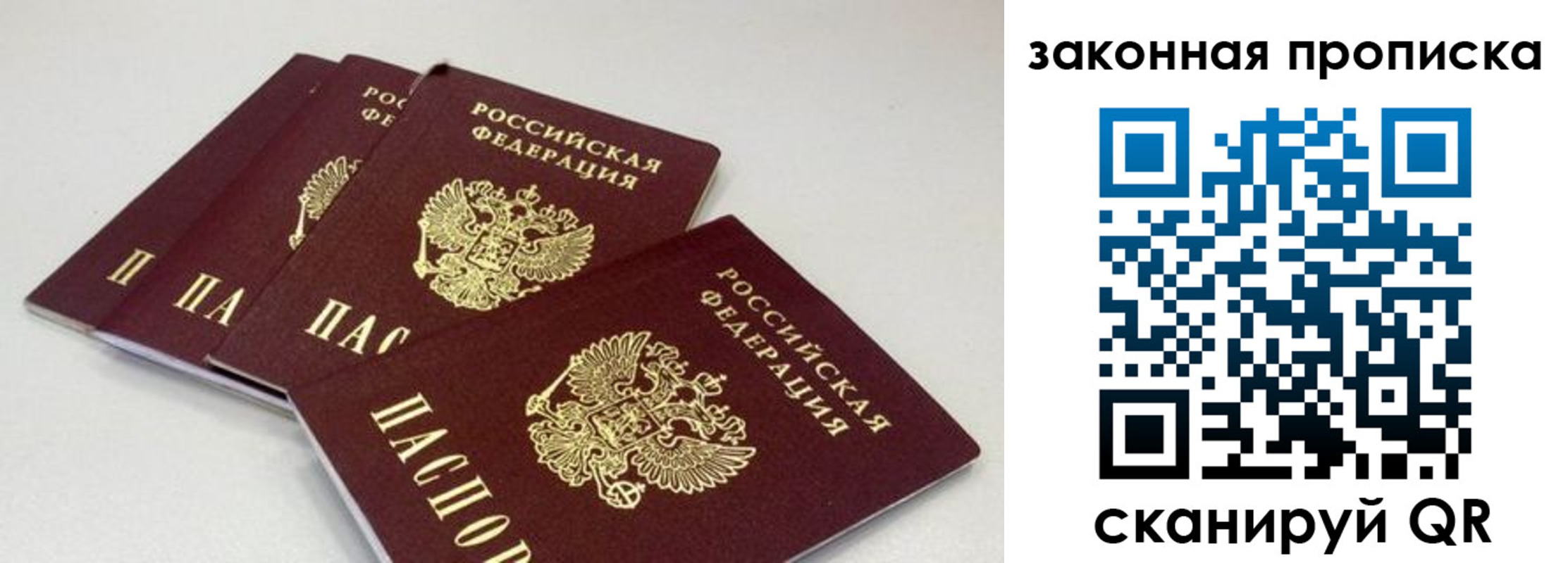 пропишу в квартире в Стародубе